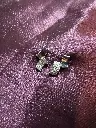 Zigzag Studs