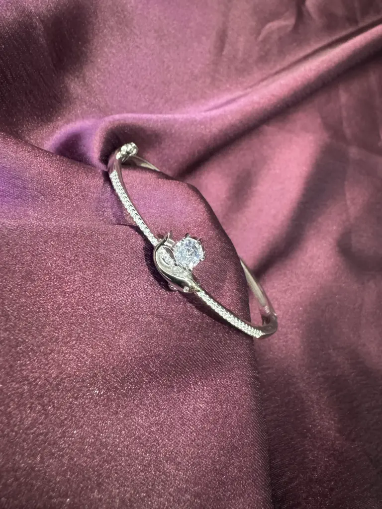 [BR038] Dolphin CZ Kada Bracelet