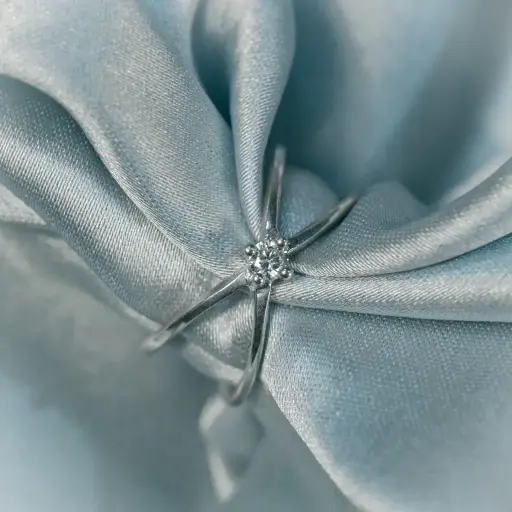 [SJ R 1011] Cross Ring